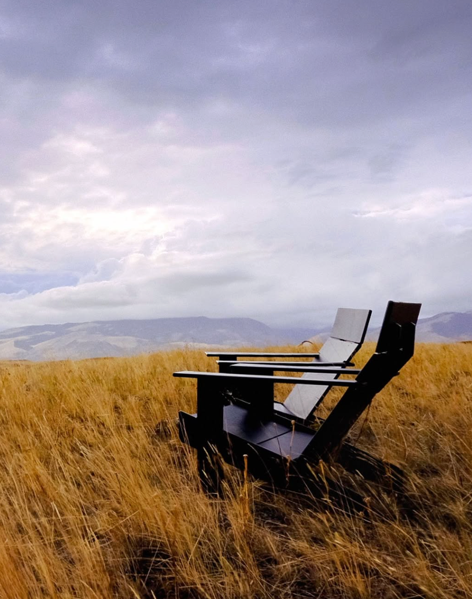 Tall Lollygagger Lounge Chair - Imagen 2